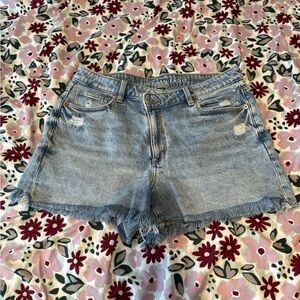 American Eagle Outfitters Light Blue Jean Shorts